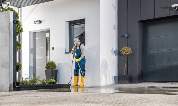 Pre-Holiday Cleaning in Fountainebleau, FL